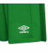 SHORT DE FOOTBALL VERT