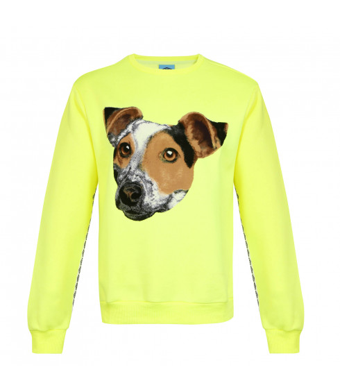 SWEAT DOG JAUNE FLUO