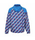 PANEL WINDBREAK REGALE BLUE  MULTI